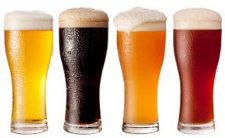 Nexus Brewery & Restaurant Addresses Fundamental Financial Controls