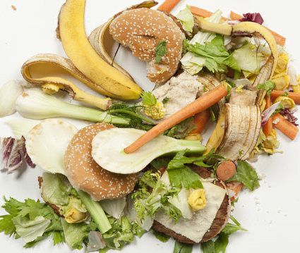 Waste Not, Want Not - Getting a Grip on Food Waste