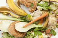 Waste Not, Want Not - Getting a Grip on Food Waste