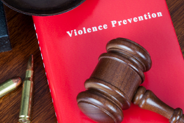 A Shattered Peace&##x3a; How to Protect Your Staff from Harassment and Violence