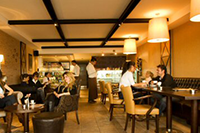 Noise Control Strategies for Startup Restaurateurs