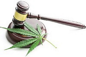 High Times in the Restaurant Business