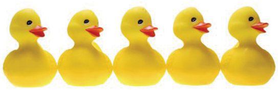 Planning the Opening of Your Restaurant&##x3a; Unless You Have Your &##x27;Ducks in a Row,&##x27; Opt for a Soft Opening