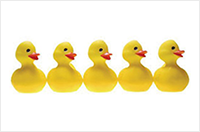 Planning the Opening of Your Restaurant&##x3a; Unless You Have Your &##x27;Ducks in a Row,&##x27; Opt for a Soft Opening
