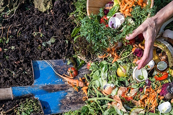 Economically Sustainable Waste Management