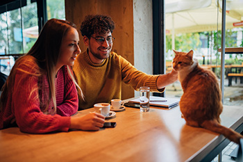 Animal House Managing Furry Restaurant Patrons