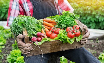 How to Find Garden-Fresh Vegetables