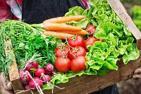 How to Find Garden-Fresh Vegetables