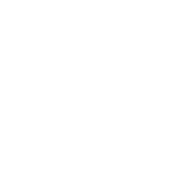 Podcasts
